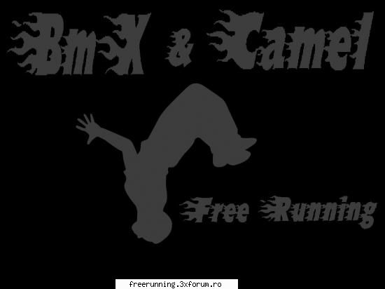 echipa curenta este alcatuita din :
- bmx
- camel echipa curenta